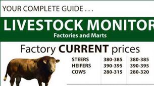 Cattle marts report: Stronger price for the stronger store, even if Turkey trip for cattle looks less likely
