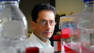 Working life: Prof Tom Cotter, UCC