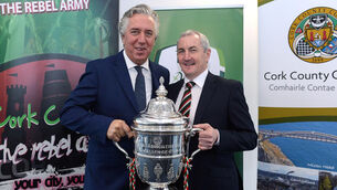 €9m Cork soccer centre named as Euro 2020 training camp