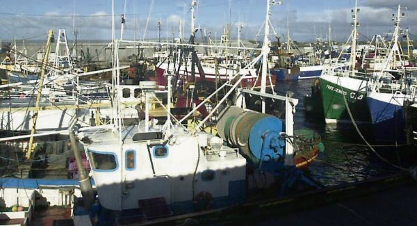 Over 1,200 fishing vessel inspections this year