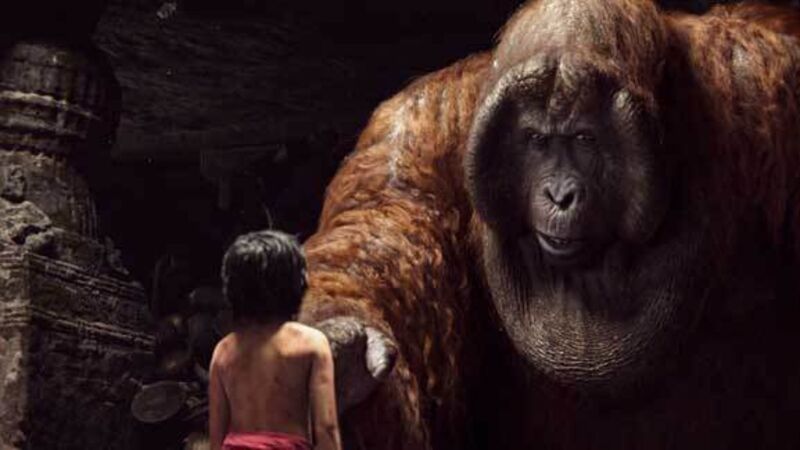 Movie reviews: The Jungle Book, Eye in the Sky, The Brand New Testament Movie reviews: The Jungle Book, Eye in the Sky, The Brand New Testament