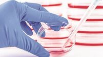 Bid to extend cystic fibrosis patients’ lifespan
