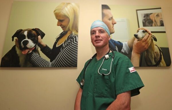 Shane Guerin, pre-surgery, as a new RTÉ series goes behind the scenes at Gilabbey Veterinary Hospital. Picture: Jim Coughlan Shane Guerin, pre-surgery, as a new RTÉ series goes behind the scenes at Gilabbey Veterinary Hospital. Picture: Jim Coughlan