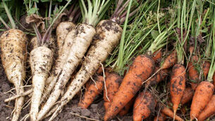 The benefits of food grown in season is glaringly obvious
