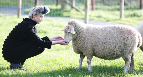 Laura Kidd wearing a design by Fintan Mullholland as she meets one of the local residence pictured at Airfield Estate, Dublin. Laura Kidd wearing a design by Fintan Mullholland as she meets one of the local residence pictured at Airfield Estate, Dublin.