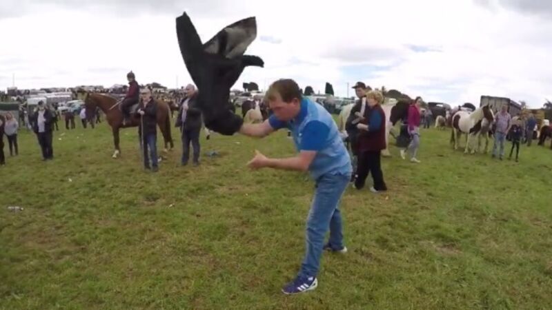 Watch as two men almost come to blows over disagreement at Puck Fair Watch as two men almost come to blows over disagreement at Puck Fair