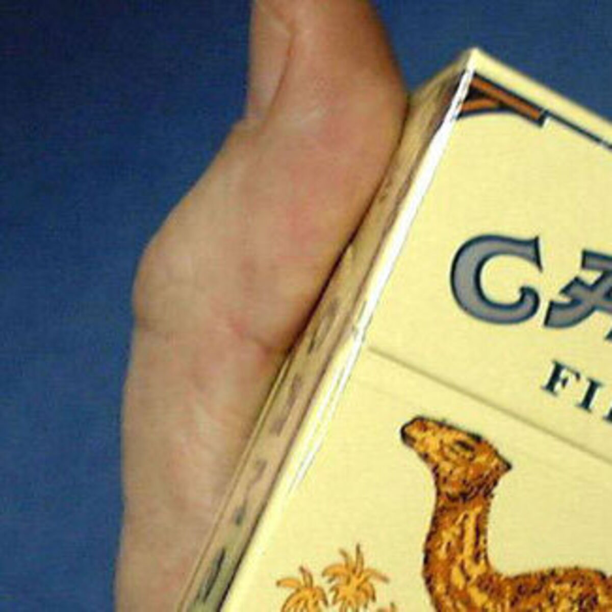 British American Tobacco clinches $49bn deal for Camel's maker firm