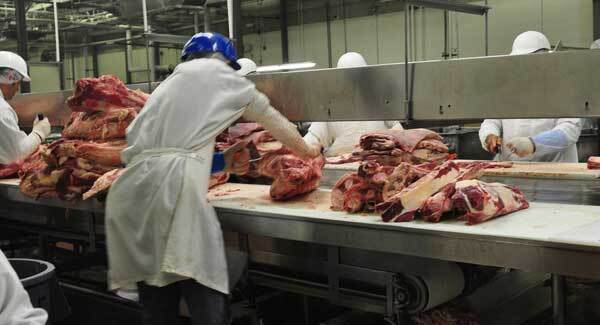 Brexit concerns despite export bounce