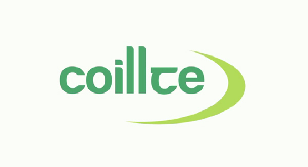 Coillte outdoor skills scheme - Outdoors focus
