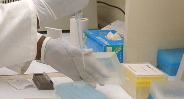DNA database success