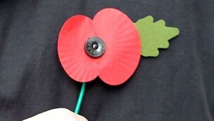 Worn with pride - Fifa imposes poppy fine on FA