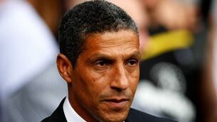 How the Irish fared: Chris Hughton happy as Brighton on the up
