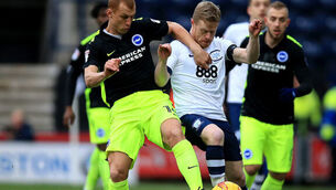 How the Irish fared: Daryl Horgan stars as Preston knock Brighton off their perch