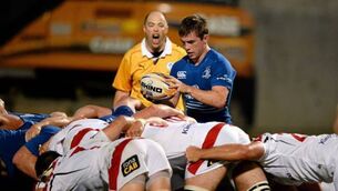 Sin bin lesson can fire Luke McGrath