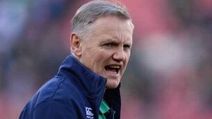 Joe Schmidt favours Ireland over Lions’ gig