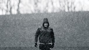 The making of a Munster and Ireland legend