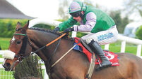 Shark Hanlon: Hidden Cyclone has ‘big chance’