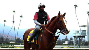 California Chrome on cusp of immortality at Breeders’ Cup Classic 