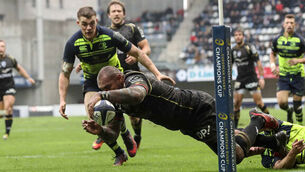 Duncan Casey: Rugby still the game for all creatures great and small