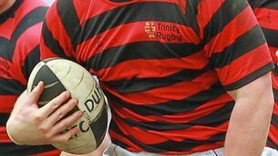 Ulster Bank League profiles: Dublin University face uphill task as Division 1A newcomers