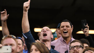 Ireland v New Zealand - International match