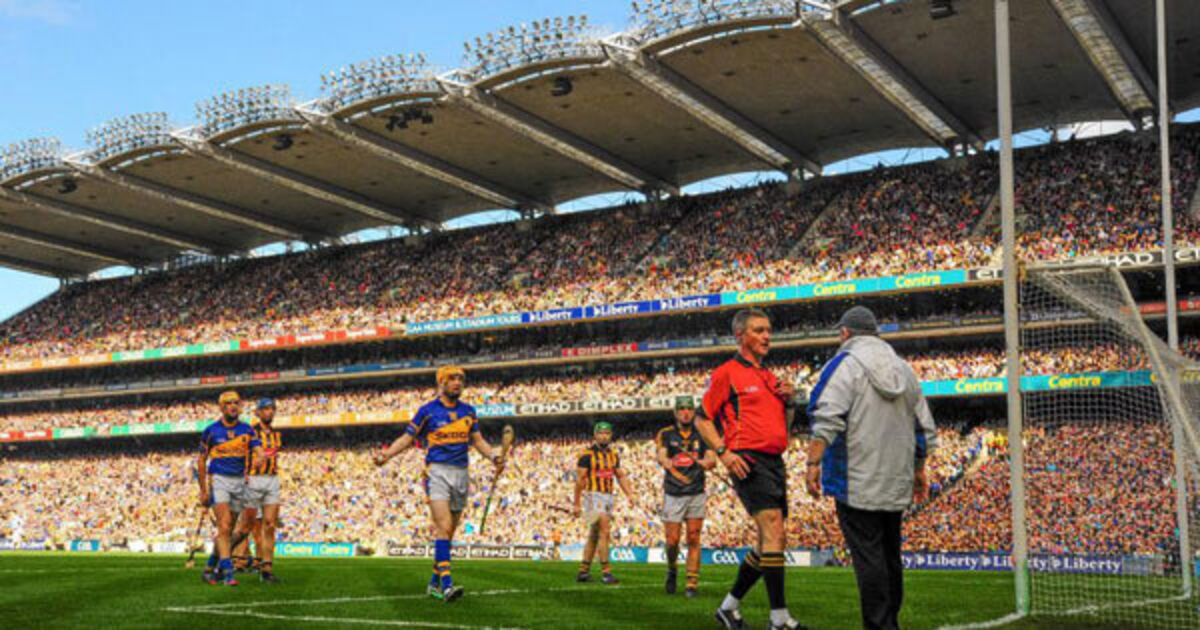 2017 suggestions for GAA From Harte to HawkEye, Cats to kittens