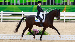 Reynolds continues on the up and up in dressage world