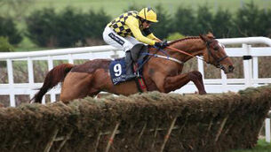 Cheltenham countdown: Is Melon ripe for Supreme glory?