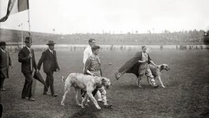 When Ireland’s Tailteann Games eclipsed the Olympics