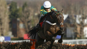 Cheltenham countdown: Is Buveur D’Air the right Champion Hurdle favourite?