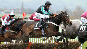 2016 Cheltenham Festival - Champion Day - Cheltenham Racecourse