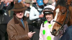 Is Faugheen a worthy betting prospect for the Champion Hurdle?