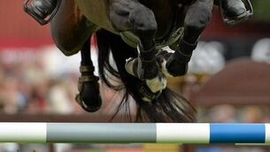 Ireland look to learn Olympic lessons