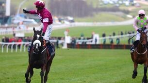 16 racing highlights from 2016