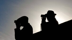 November Tale to make amends