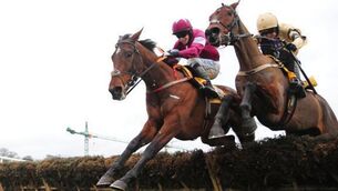 Promising Village looks poised to follow up at Cheltenham