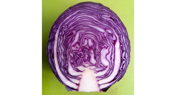 Sweet on Sauer - the benefits of fermented foods