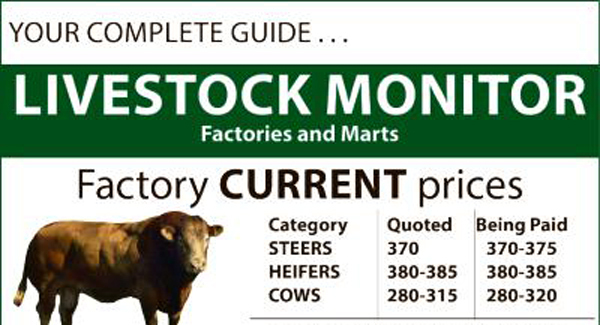 Cattle marts report: Cattle prices remain steady in a week when thoughts turn to the Ploughing