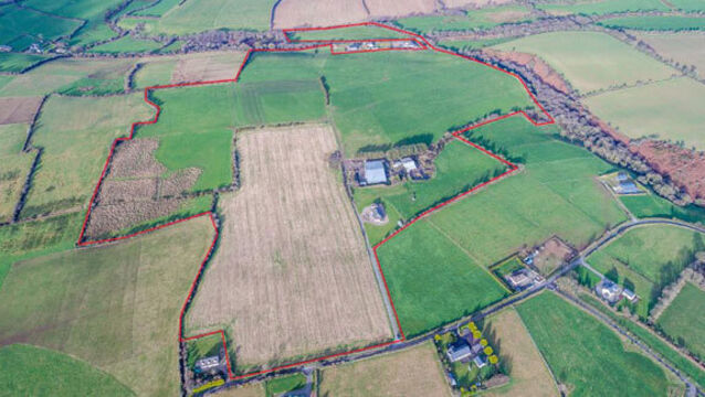 Ready-to-Go 79-Acre Dairy Farm near Innishannon