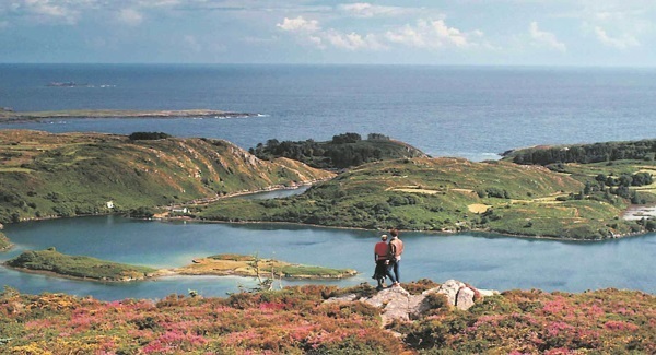 Dare To Be Wild movie tells a unique story emanating from West Cork