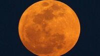 Sky Matters: Looking ahead to the night skies of 2017