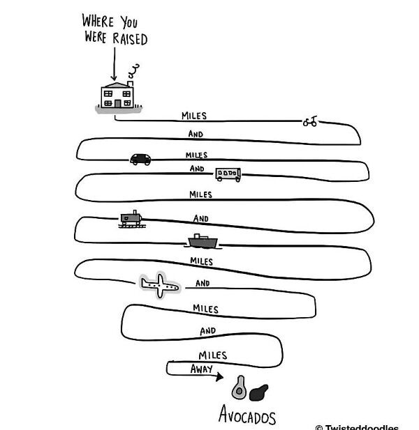 Illustration by Twisteddoodles from the ‘Hard to Swallow’ chapter in Bolloxology by Colm O’Regan.