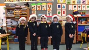 Gaelscoil Carrigaline experts explain the magic of Christmas