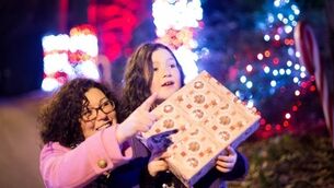 How Fota prepares for 60,000 visitors to Santa