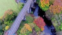 Check out this drone footage of beautiful autumnal foliage taken across rural Wicklow