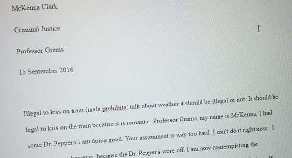 This girl wrote and submitted the most ridiculous college essay while drunk