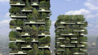 'Forest in the sky' under construction in Milan