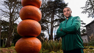 Ireland Rugby Squad Training and Press Conference