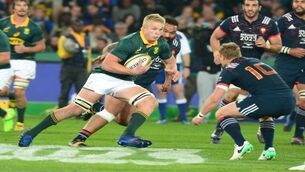 French overpowered by resurgent Springboks