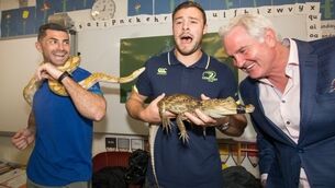 Rob Kearney: To see Munster win will be ‘tough viewing’